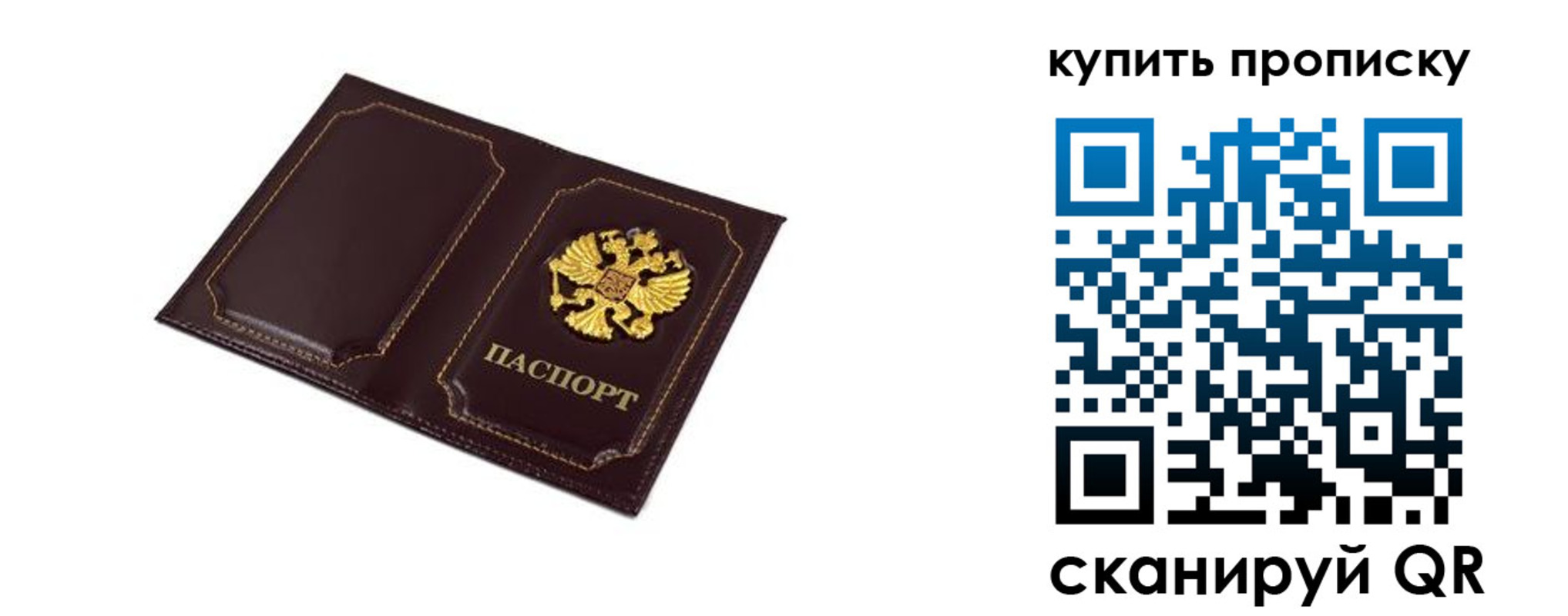 купить прописку в Камчатской области